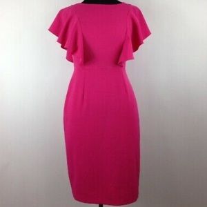 NWT Pink Alex Marie Sheath Dress